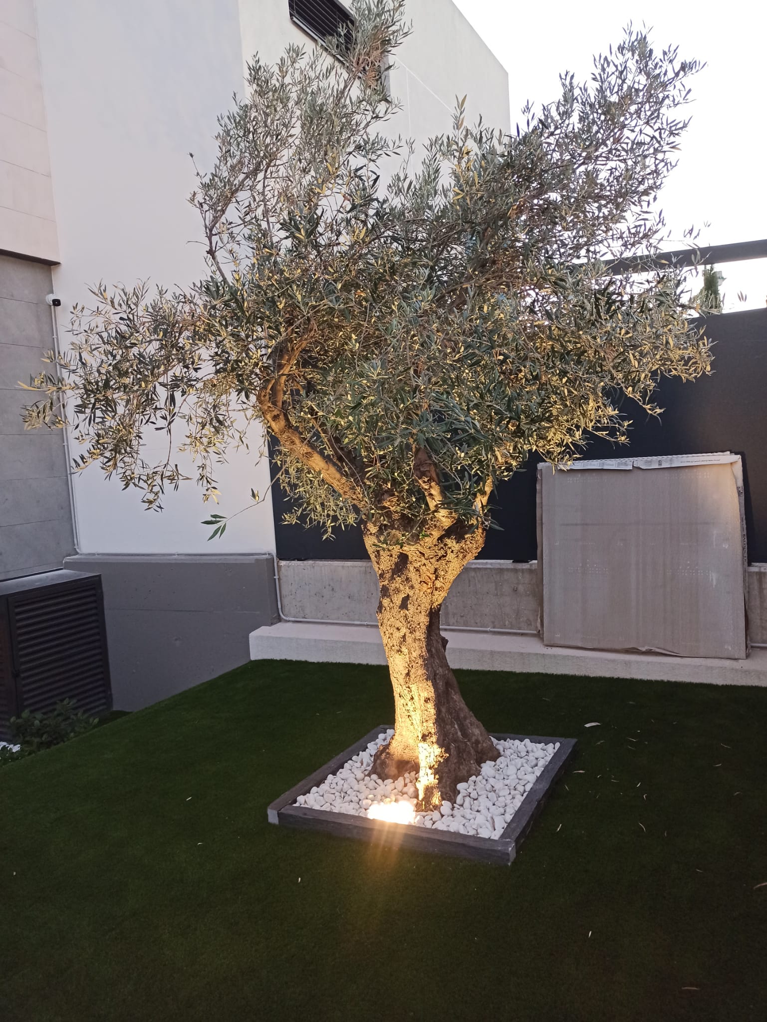 whatsapp image 2021 10 13 at 11.31.26 (1)